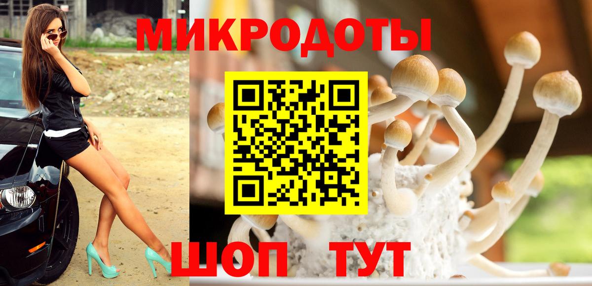 Озёрск  Псилоцибиновые грибы MAGIC MUSHROOMS  Вход с VPN 